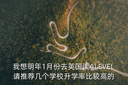 十大alevel國際學校，我想明年1月份去英國讀ALEVEL請推薦幾個學校升學率比較高的
