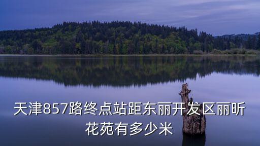 天津市東麗區(qū)麗昕花苑，天津市東麗區(qū)