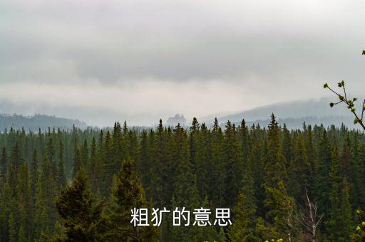 粗獷的近義詞,粗獷的意思有何不同?