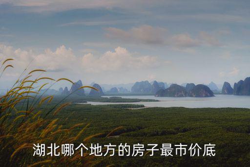 湖北哪個(gè)地方的房子最市價(jià)底