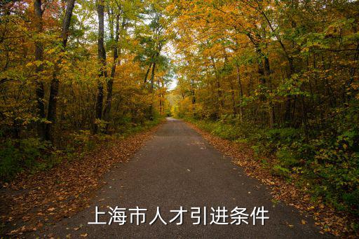 上海市人才引進(jìn)條件