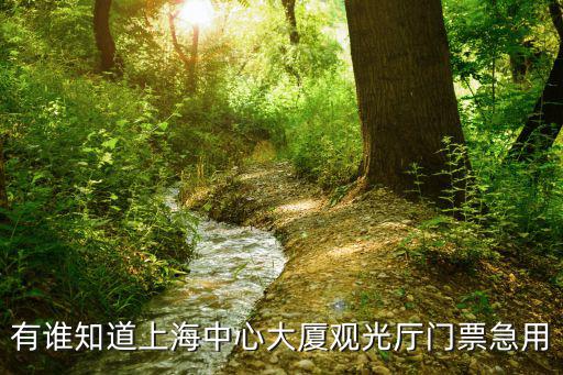 有誰知道上海中心大廈觀光廳門票急用