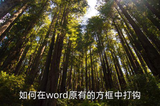 如何在word原有的方框中打鉤