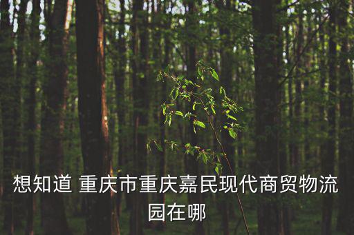 想知道 重慶市重慶嘉民現代商貿物流園在哪