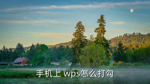 wps怎么打勾,wps怎么在矩形框里打勾和跨×