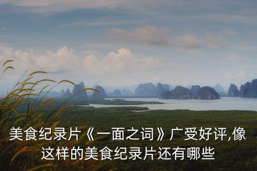 美食紀錄片《一面之詞》廣受好評,像這樣的美食紀錄片還有哪些