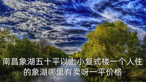 南昌象湖五十平以上小復(fù)式樓一個(gè)人住的象湖哪里有賣呀一平價(jià)格