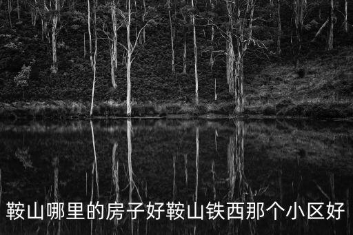 鞍山哪里的房子好鞍山鐵西那個小區(qū)好