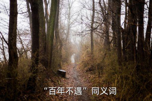 “百年不遇”同義詞