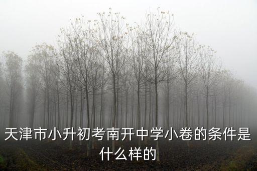 天津市六年級語文南開卷，天津南開翔宇小學(xué)六年級語數(shù)外用的是哪個出版設(shè)的教材  搜