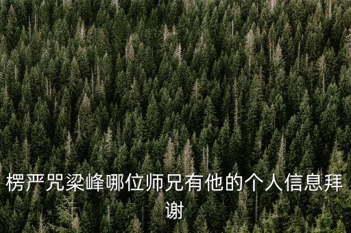 楞嚴(yán)咒梁峰哪位師兄有他的個(gè)人信息拜謝
