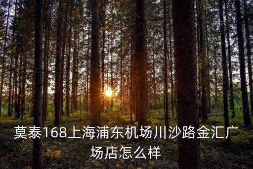 上海市浦東新區匯親園養老院 交通，莫泰168上海浦東機場川沙路金匯廣場店怎么樣