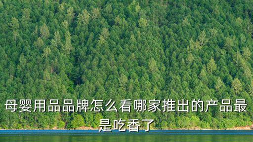 母嬰用品品牌怎么看哪家推出的產(chǎn)品最是吃香了