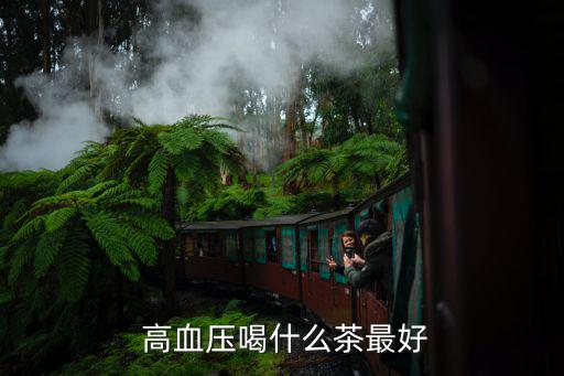  高血壓喝什么茶最好