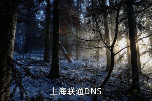 上海市普陀區(qū)聯(lián)通DNS，上海聯(lián)通dns地址是多少