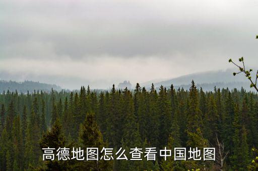 高德地圖怎么查看中國地圖