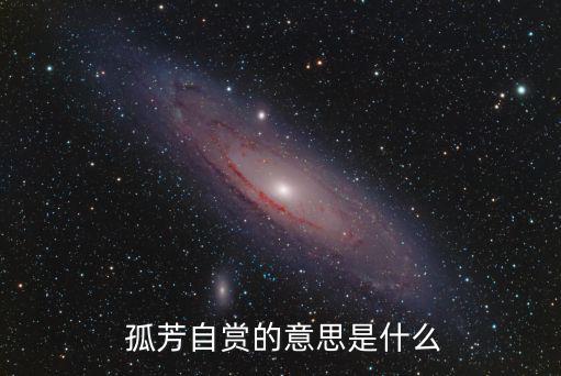 孤芳自賞的意思,這么孤白的梅子竟然可以這樣獨芳自賞