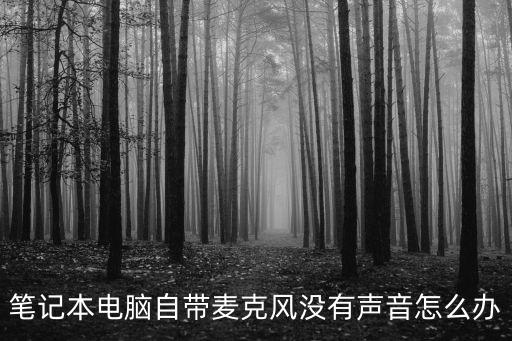 筆記本電腦自帶麥克風沒有聲音怎么辦