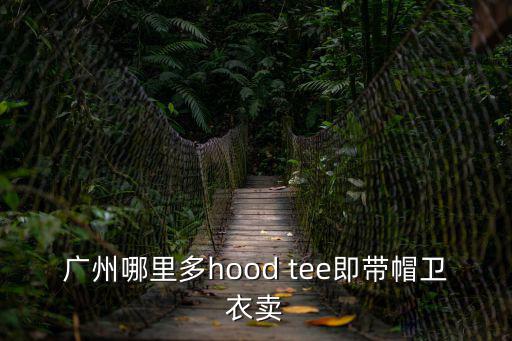 廣州騰羿服飾衛衣，我想上網買件衛衣 在廣州有哪些店鋪比較好的 介紹一下
