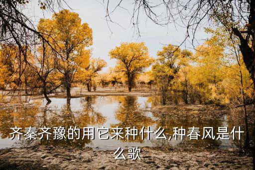 齊秦齊豫的用它來種什么,種春風是什么歌