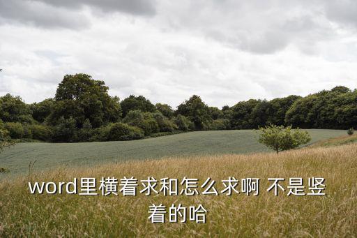 word求和，word如何計算求和最快的