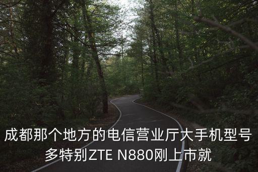 四川省成都市錦江區牛沙小區，成都癲癇病專科醫院具體地址是什么