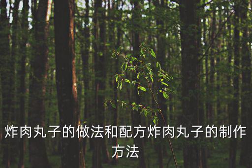 炸肉丸子的做法和配方炸肉丸子的制作方法