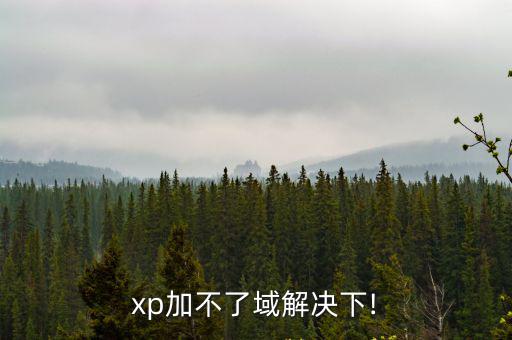 xp加不了域解決下!