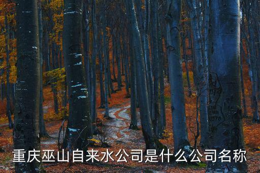 重慶巫山自來水公司是什么公司名稱
