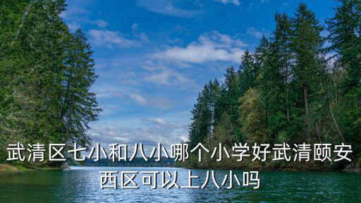 武清區七小和八小哪個小學好武清頤安西區可以上八小嗎