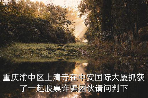 重慶渝中區上清寺在中安國際大廈抓獲了一起股票詐騙團伙請問判下