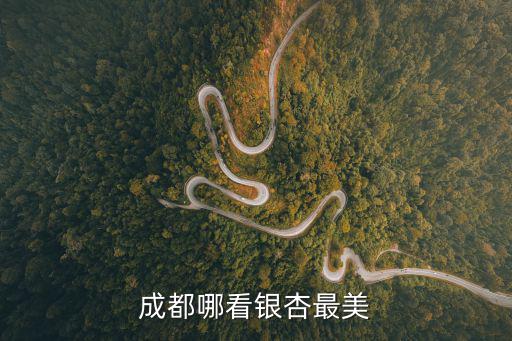 成都哪看銀杏最美