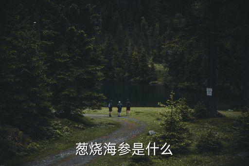 蔥油海參，蔥燒海參是什么