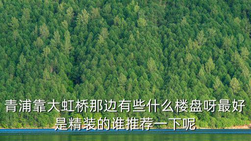 青浦靠大虹橋那邊有些什么樓盤呀最好是精裝的誰推薦一下呢