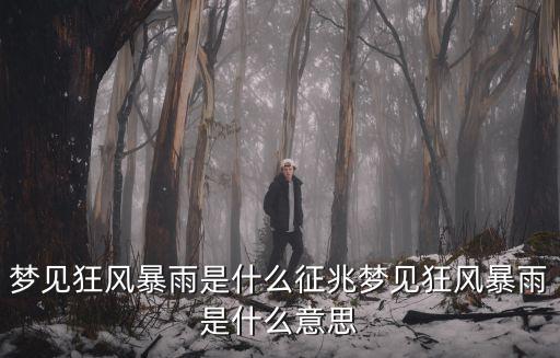 夢見狂風暴雨,午夜夢見狂風暴雨意思什么意思?