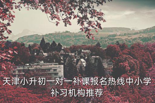 天津小升初一對(duì)一補(bǔ)課報(bào)名熱線(xiàn)中小學(xué)補(bǔ)習(xí)機(jī)構(gòu)推薦
