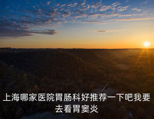 上海哪家醫(yī)院胃腸科好推薦一下吧我要去看胃竇炎