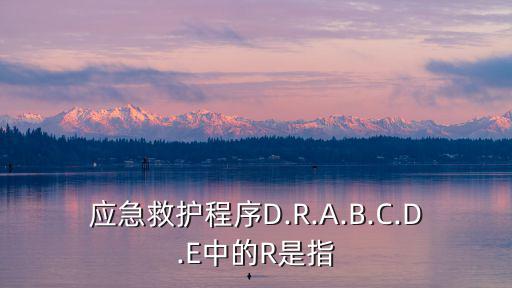 應(yīng)急救護(hù),現(xiàn)場急救的目的和原則