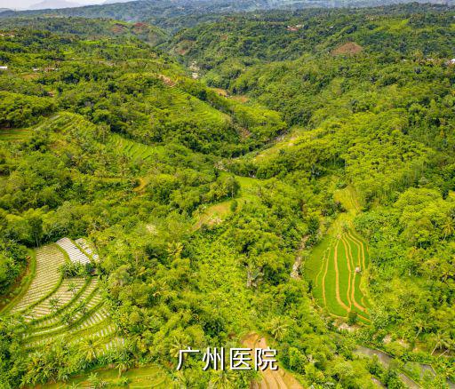 廣州醫院