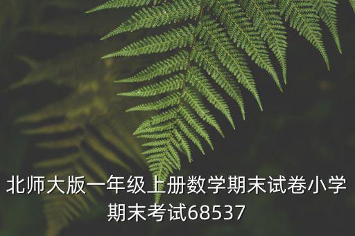 北師大版一年級上冊數學期末試卷小學期末考試68537
