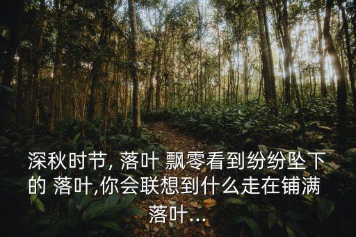 飄零的落葉,秋風落葉:秋風已掃落葉迎來秋天的洗滌