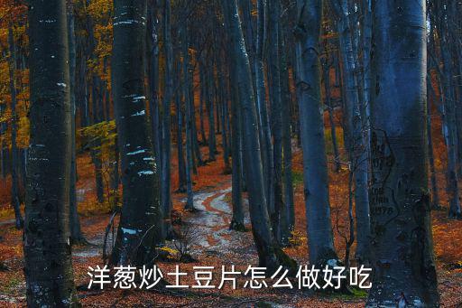 洋蔥炒土豆片怎么做好吃