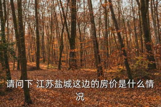 請問下 江蘇鹽城這邊的房價是什么情況