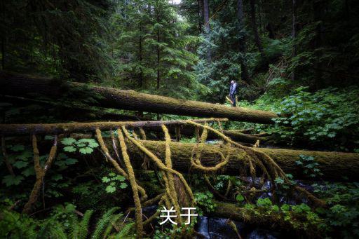 不要以貌取人英語,以貌取人失之宰予以言取人,失之子羽