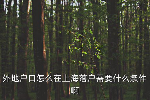 外地人在上海落戶條件，外地戶口怎么在上海落戶需要什么條件啊