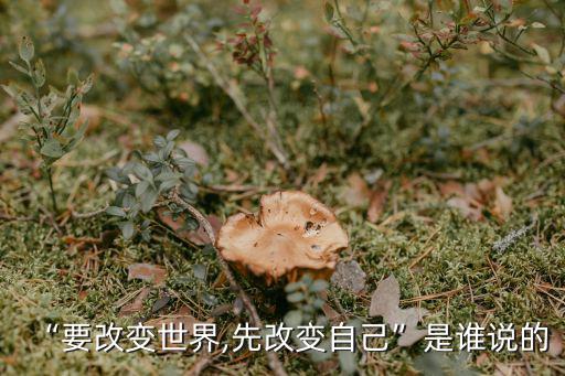 “要改變世界,先改變自己”是誰說的