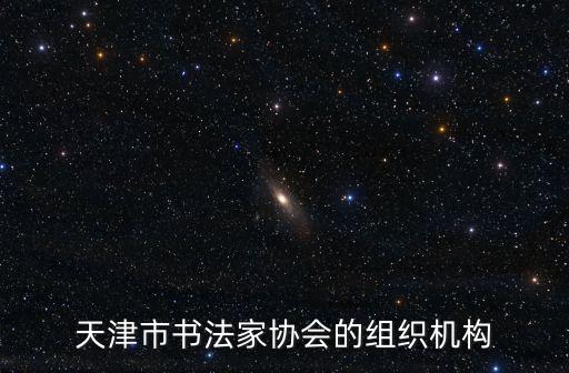 天津市書法家協會的組織機構