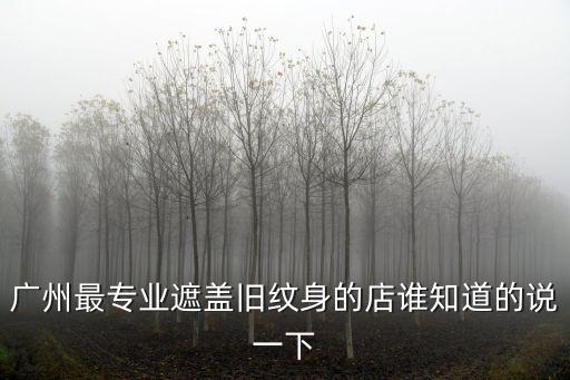 廣州藝臻紋繡，廣州紋繡學校哪一家最好