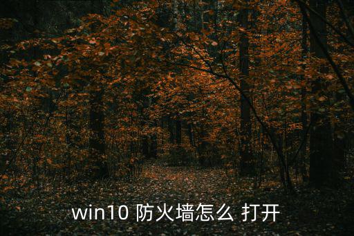 怎么打開防火墻,windowss10防火墻怎么開?