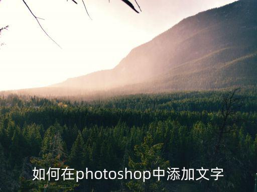 ps如何添加文字,怎么在photoshop中添加文字?